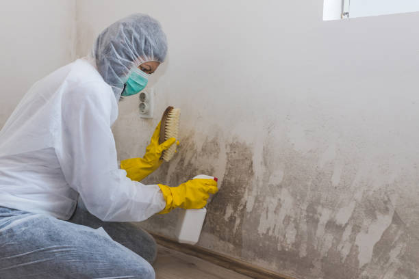 Mold Remediation for Vacation Homes in Simpsonville, SC