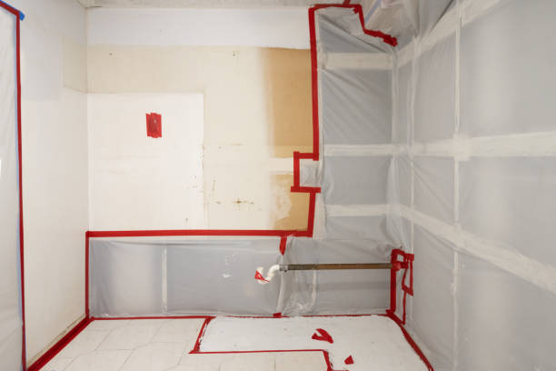 Best Environmental Consulting for Mold Prevention  in Simpsonville, SC