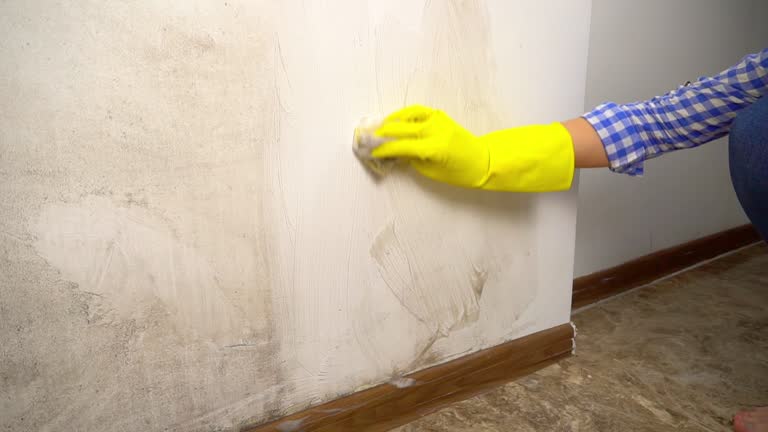 Best Mold Odor Removal Services  in Simpsonville, SC