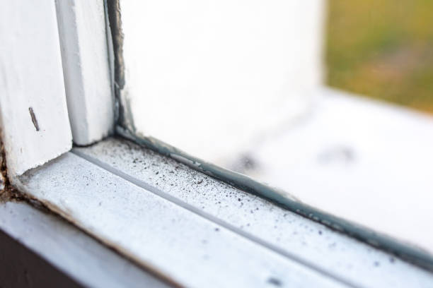 Best Air Quality Testing for Mold Spores  in Simpsonville, SC