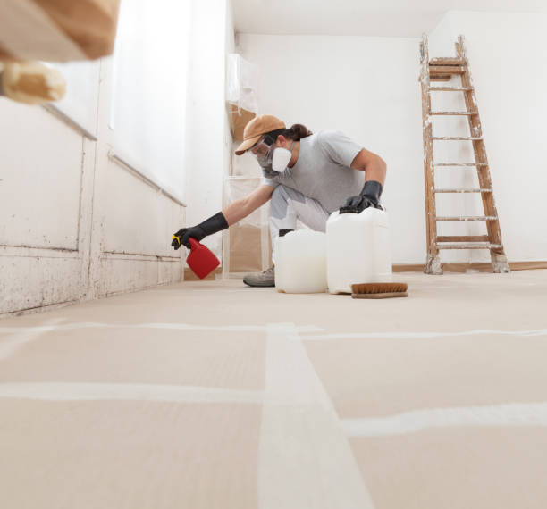 Best Commercial Mold Inspection  in Simpsonville, SC