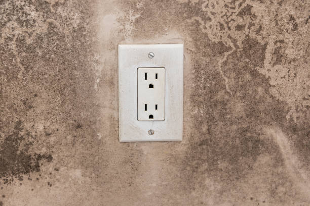 Best Real Estate Mold Inspection  in Simpsonville, SC